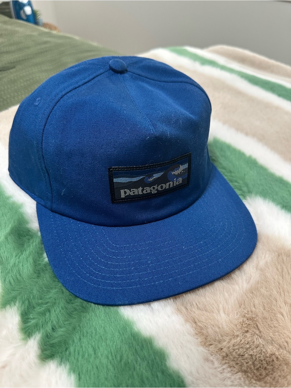 Patagonia Royal Blue Patch Cap